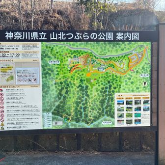 素敵な遊具も沢山あって、小さなお子さんがいる方はメチャおすすめです。