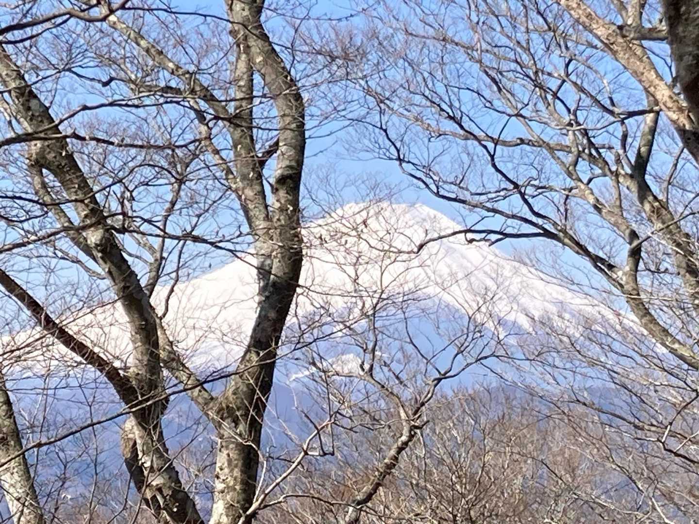 浅瀬入口バス停-ミツバ岳登山口-大出山-権現山-茅ノ丸-二 縦走コースの写真