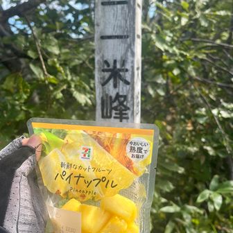 ネタその一

標高711メートル
通称セブンイレブン峰というらしいです
けれどYAMAPではピークになってません

ネタ用にセブンイレブンでカットパイナップル買ってきました