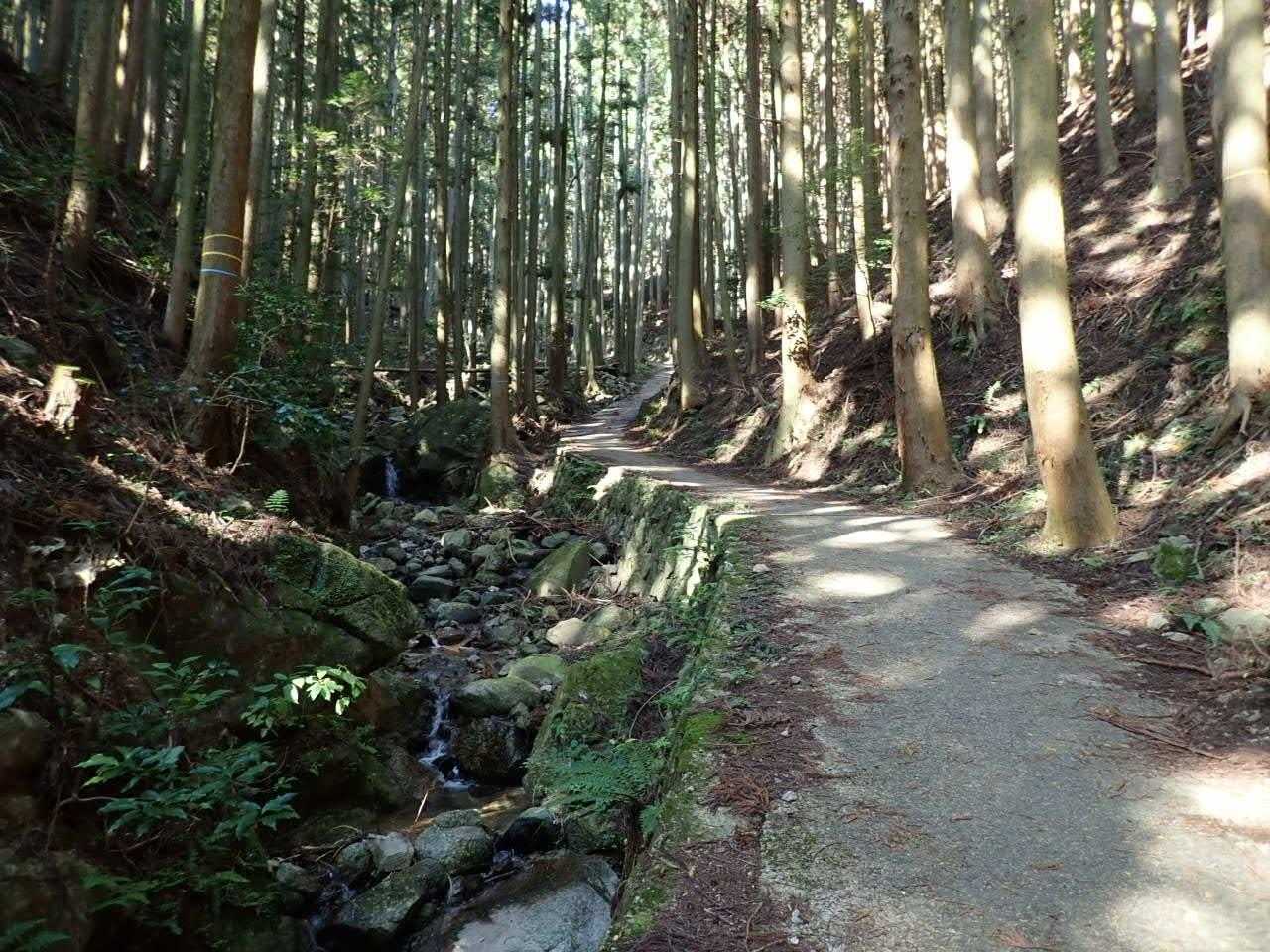 しばらく舗装路が続き、念のためGPSで確認すると思っているルートではありませんでした😓
一旦、駐車場まで引き返します😅