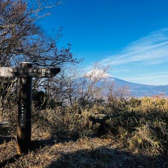 丸鉢山到着🙌
猪鼻砦跡って書いてあります🤔
あまり山頂という感じではない💦