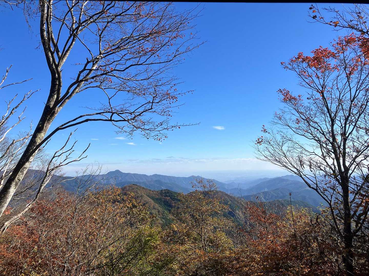 見晴らし小屋からはいい眺め　
大岳山が見えます
