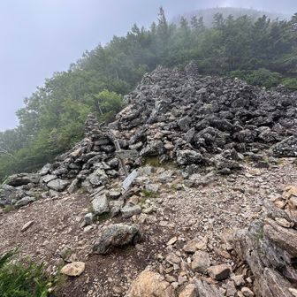 やっと樹林帯をぬけた...
急に明るくなった
仙水峠