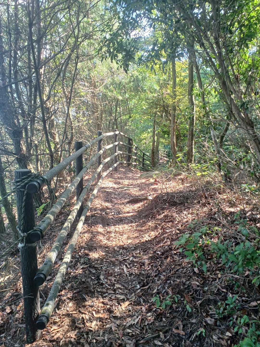 それでは物足りないので、２座先の
藤ヶ丸山まで行く🏃‍♂️🎵
道は、いい✨️…アップダウンも小さい。
