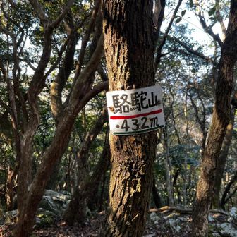 ここが駱駝山
ひとこぶラクダ？