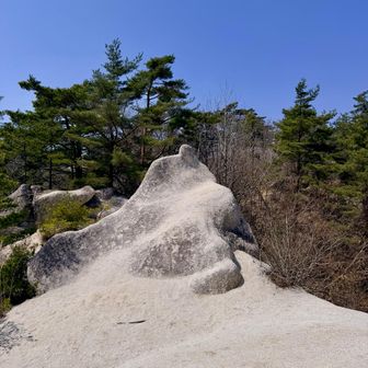 人に見えなくもない。