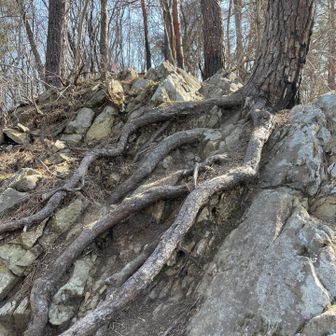 ここもなかなかのアクロバティックルートです。