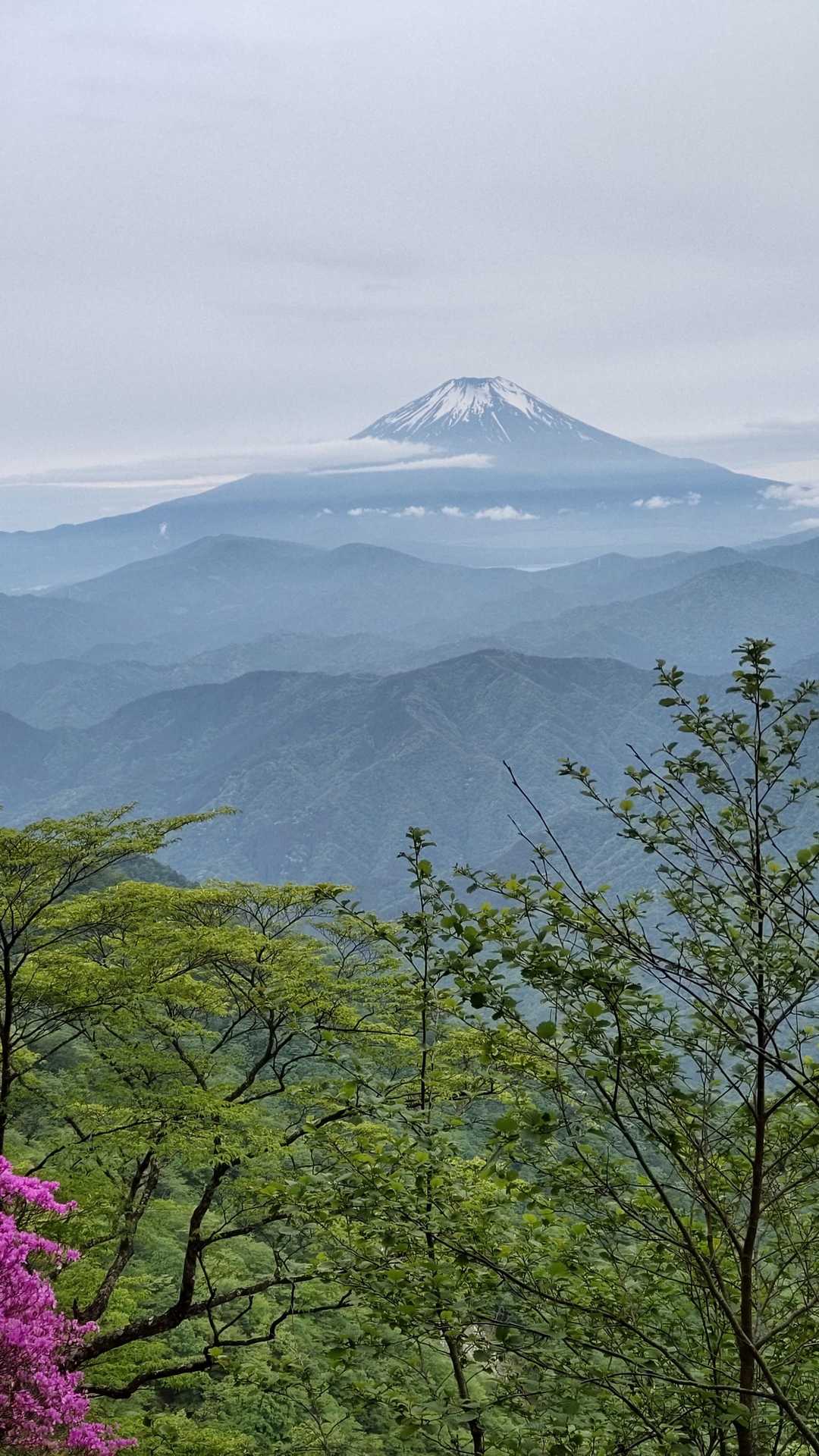 富士山もだいぶ雪解け