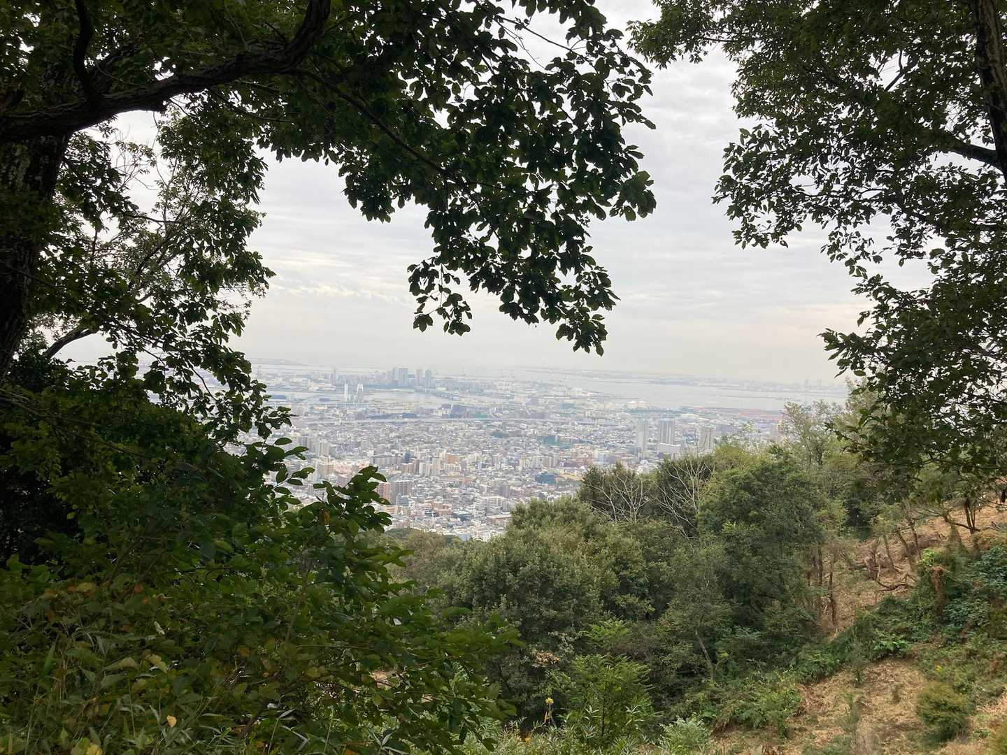 岡本駅-雨ヶ峠-六甲越-虫地獄登山口 縦走コースの写真