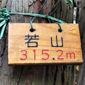 いつもの若山😌
