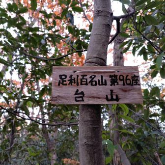 4座目　台山
ここでもGPS狂って🌀