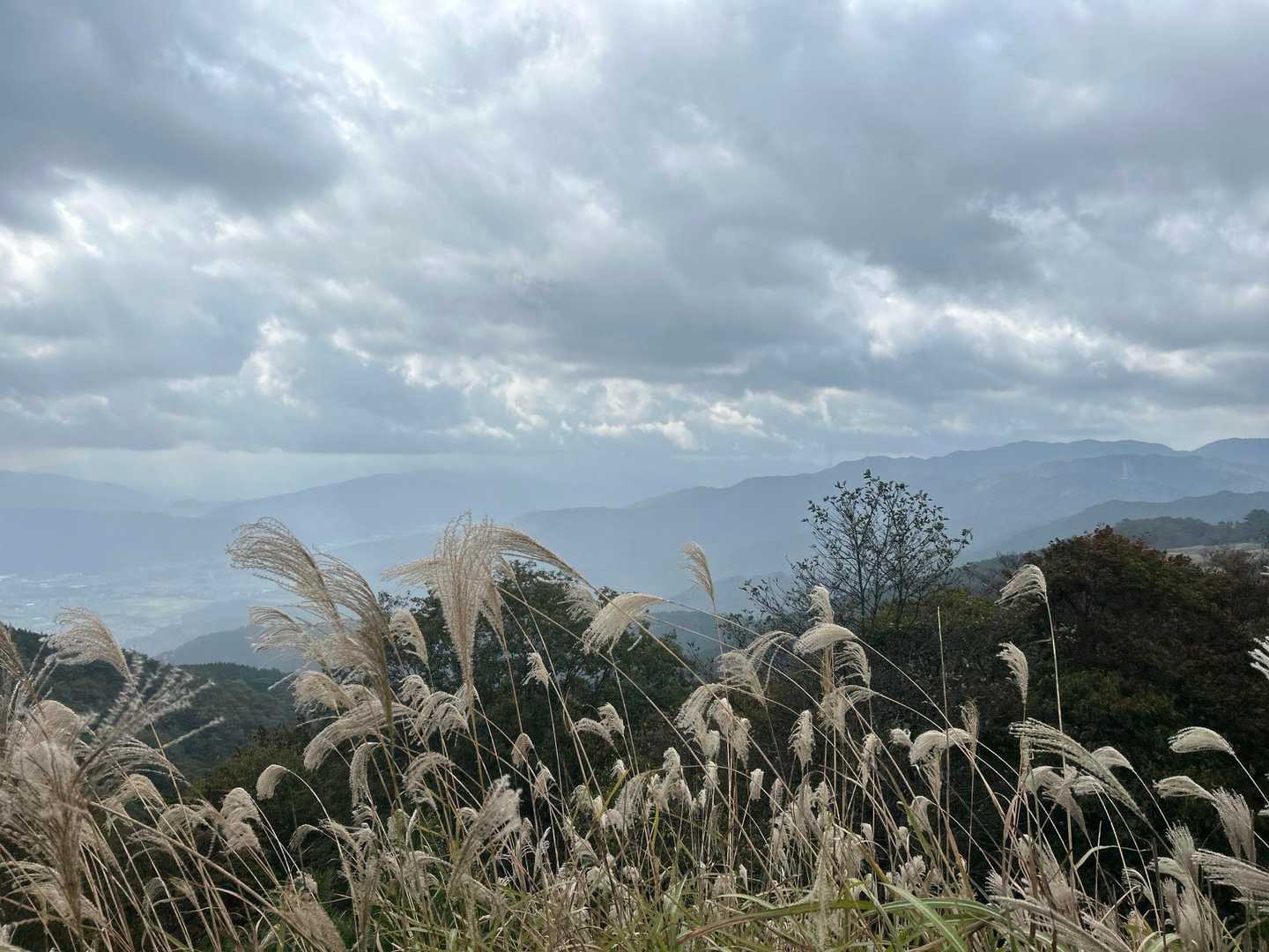 少しは見えますが、雨も降ってきました😥