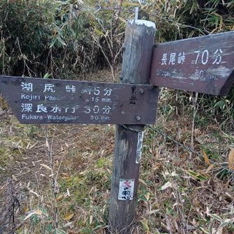 分岐よ〜😊
真ん中に黒マジックで手書き黒岳が🤣雑すぎ🥲
せっかくならと更に進み眺望、標識なしの山頂へ〜

三国山に繋がる道行くかを迷う2人👭
またも☔ポツポツ警告🪬断念し足早に戻る事に。