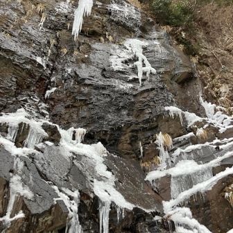 が、全然凍ってない😅
