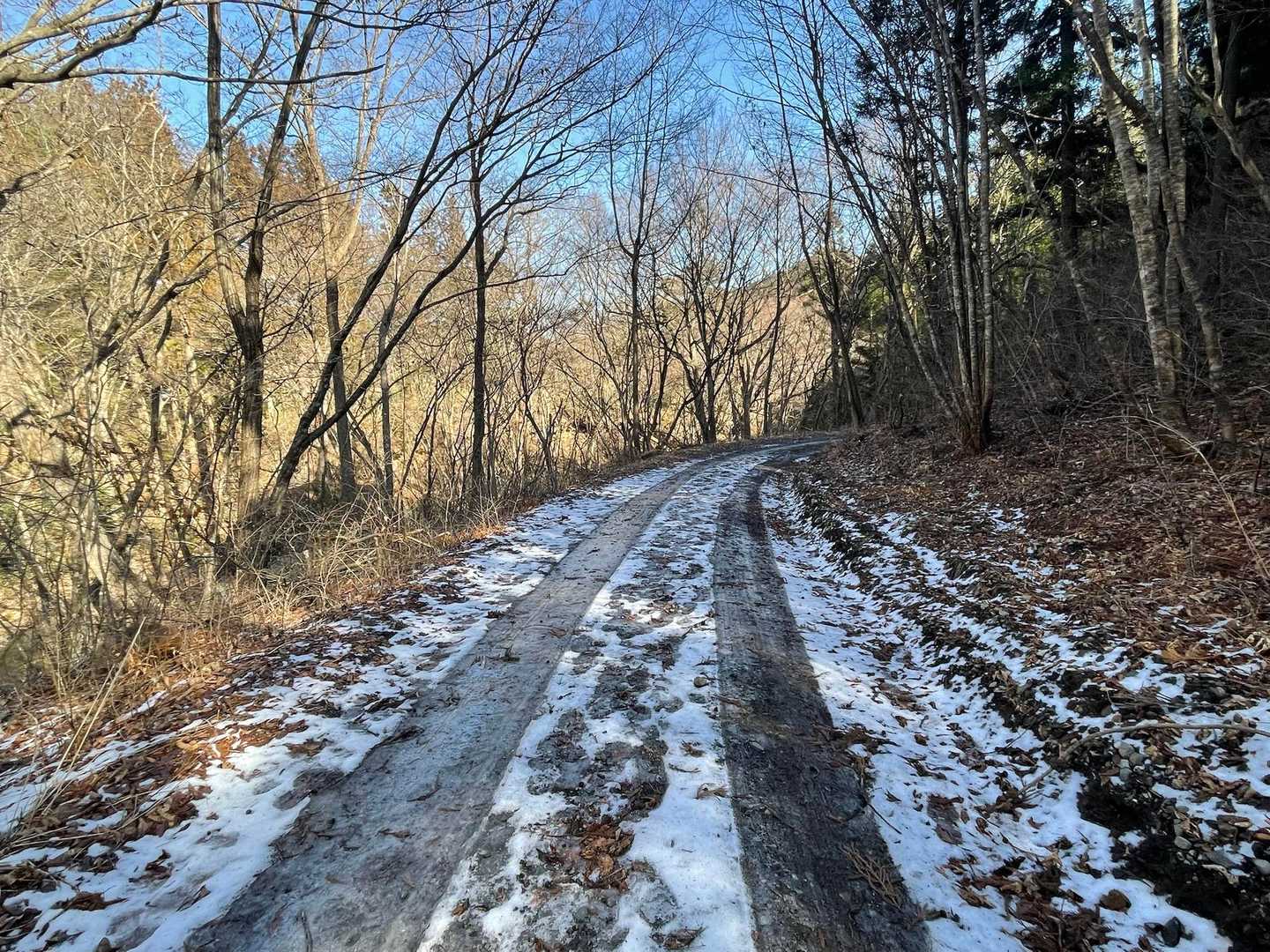 登山道には雪ないけど林道は凍ってて滑る😇
