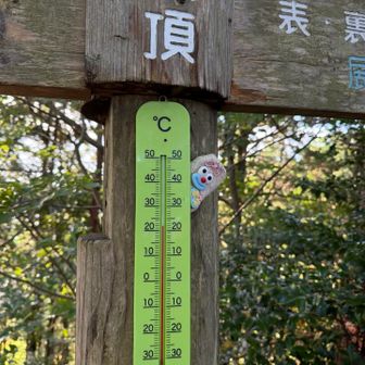 山頂は22℃