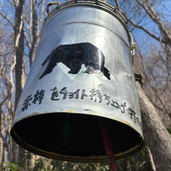 熊がね🐻
分岐付近通り道で南から中央方面に横断してる足跡🐾あります🤗