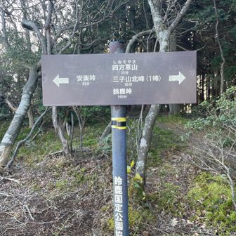 分岐を直進して