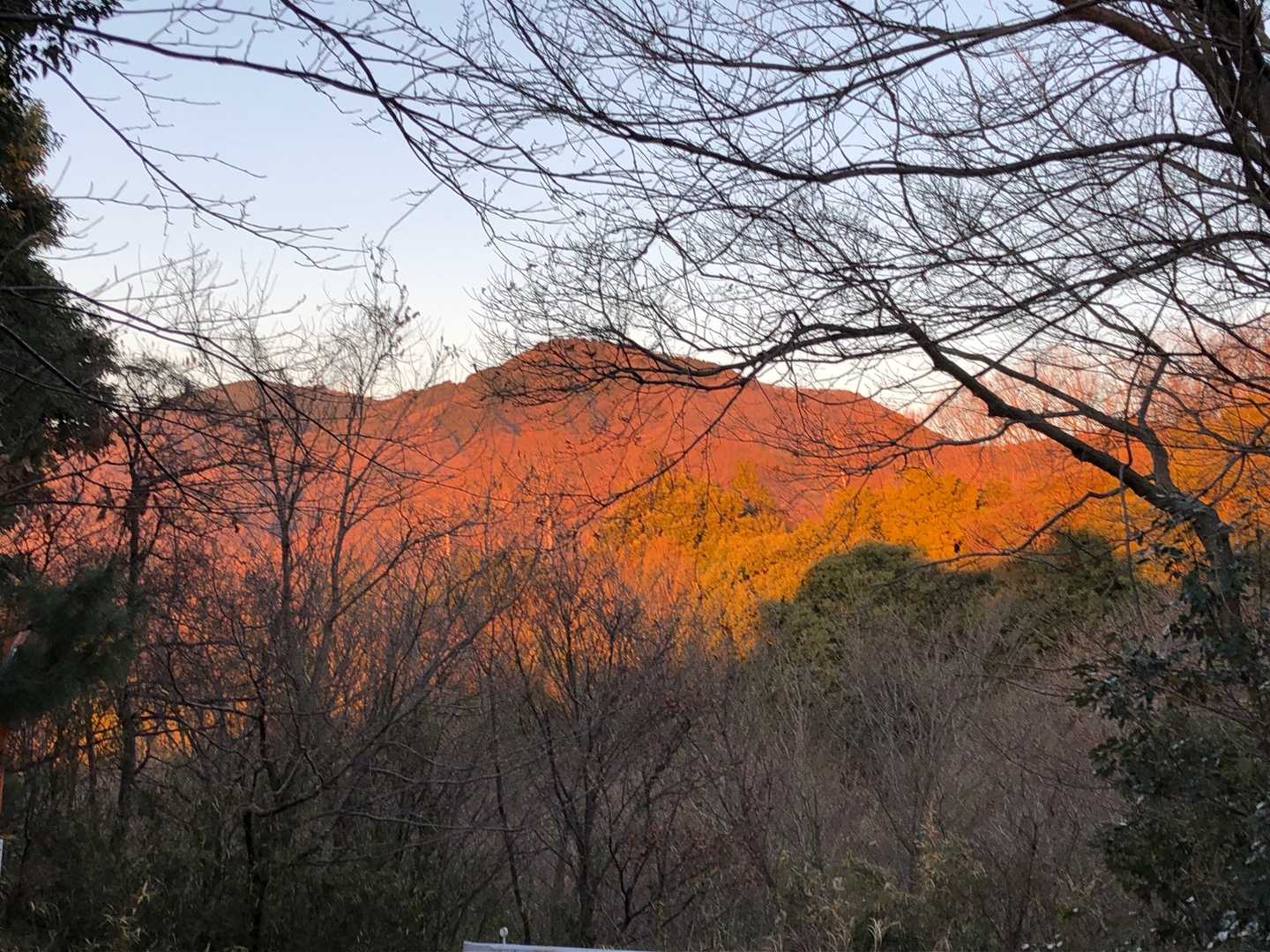 足尾山　アーベントロート