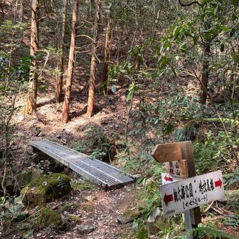 東山・桃山への分岐　
このあたりはピークがいくつもあるようです。