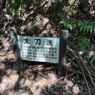 下山した所に太刀洗の説明が…ふむふむ🤔