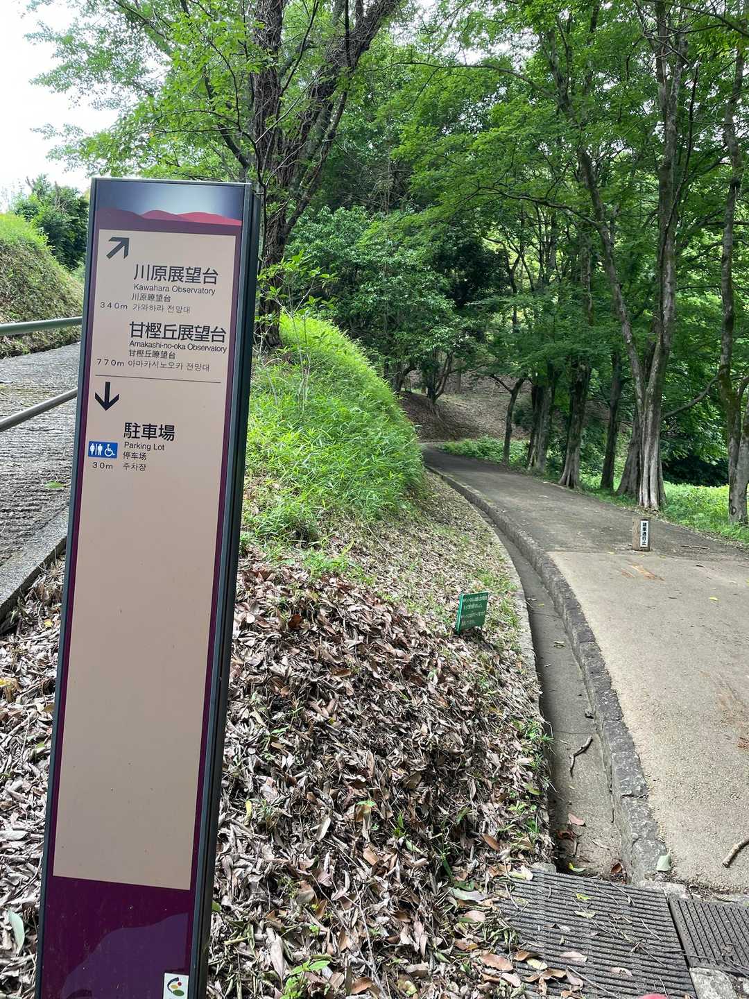 展望台の方に向かいます☺️