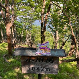 小川岳ネオレーズンバターロール
九州百名山の天主山と小川岳を日帰りで一気に、というのをやりたかったのです
（もう少し体力とスピードがあれば白岩山ピストンも追加できたかも）