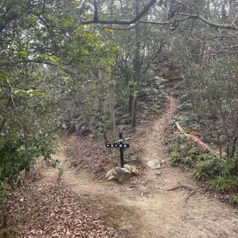 まっすぐ行けば己斐峠　
左に降りるが、滑るので要注意　己斐上に降りる