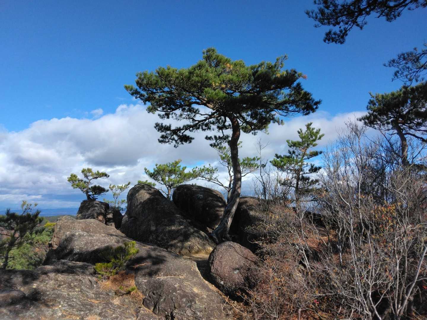 岩岳⛰️山頂到着🙌
手前は天狗の相撲場👺