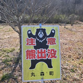無事下山。熊さんに遇わずよかったです