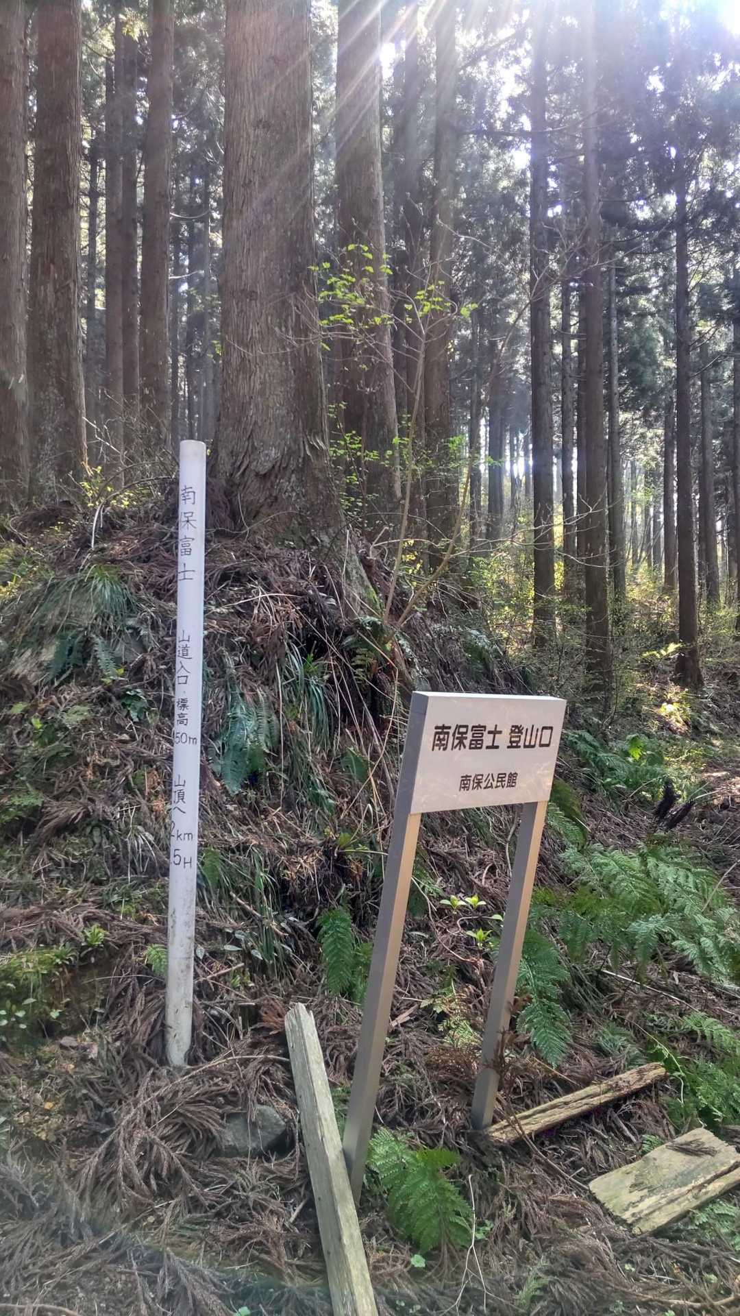 先ずは杉林の中を進む👢
あまり花粉は目立たない。