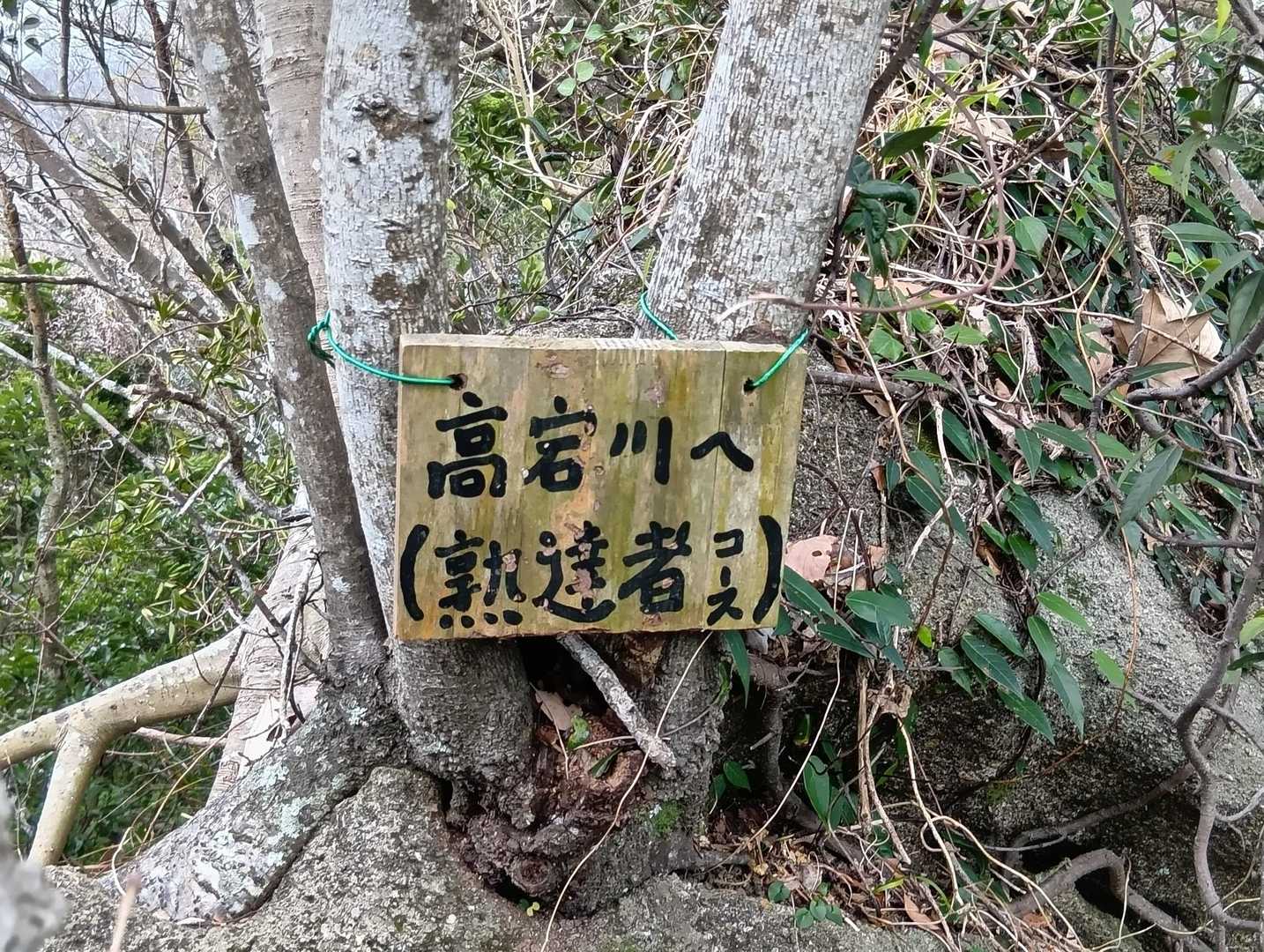 熟達者コースに挑戦しようとしたら、高宕山ではなく高宕川だった