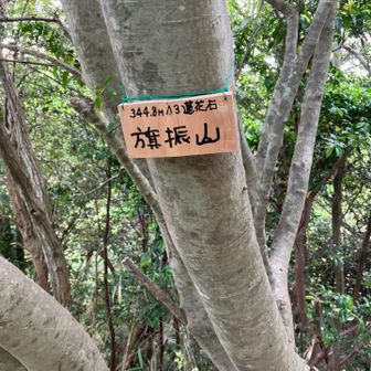 旗振山⛰️山頂