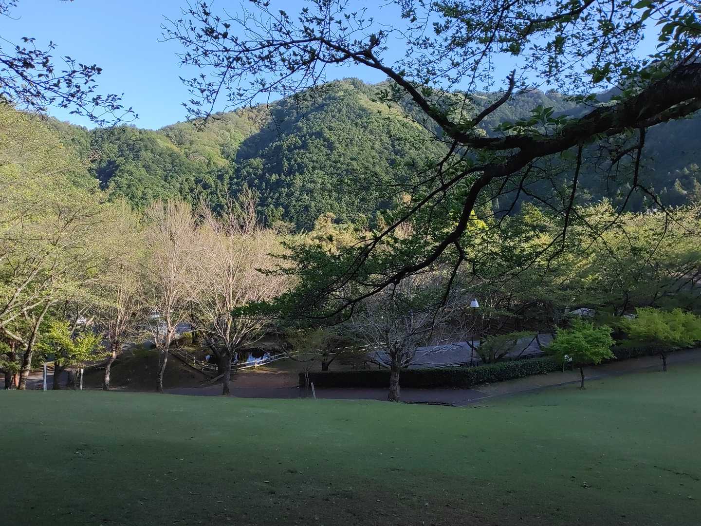 観音岳 往復コースの写真
