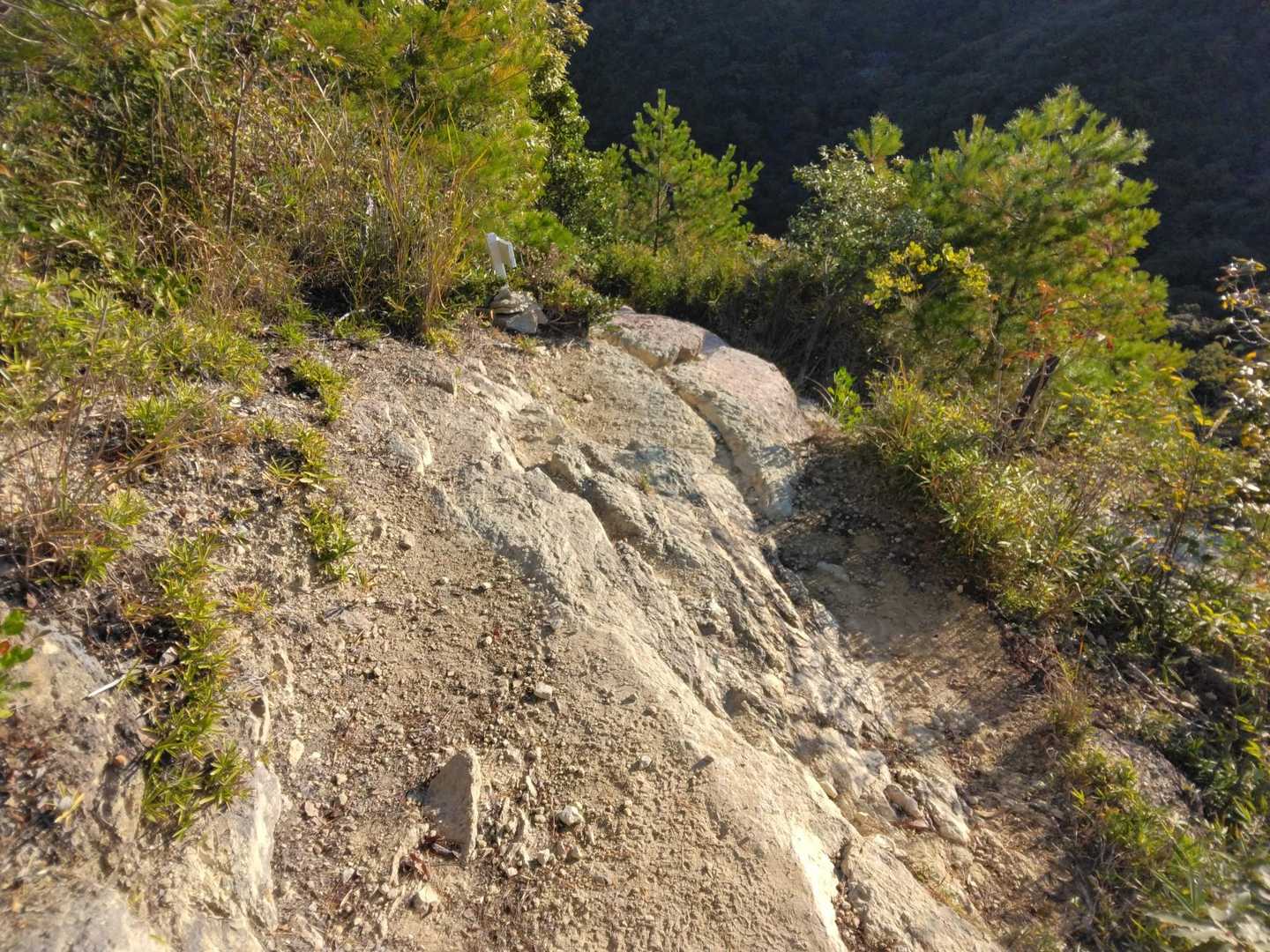 馬の背登山口-桶居山 往復コースの写真