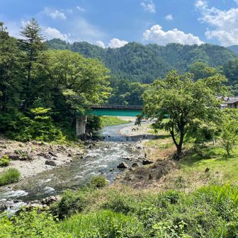 川が綺麗で、気持ちよさそう😆