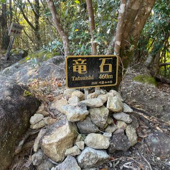 四座目⛰️竜石です🐲
岩が凄い🪨