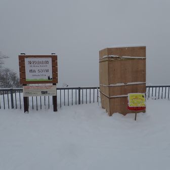 P標識と雪像（予定）