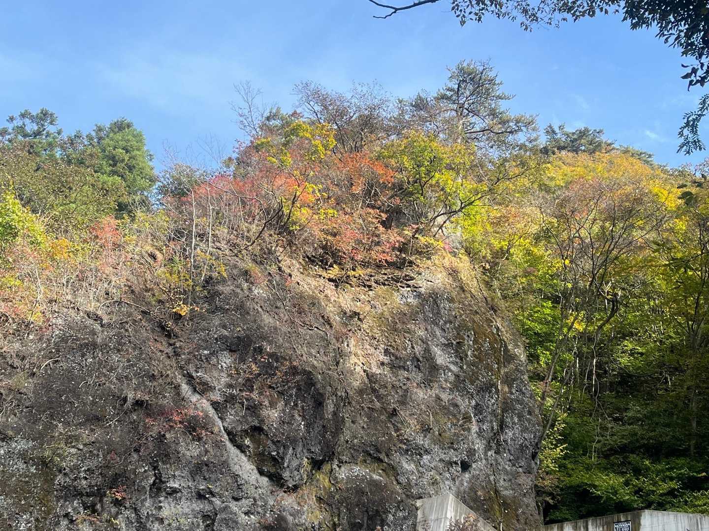 十二ヶ岳 往復コースの写真