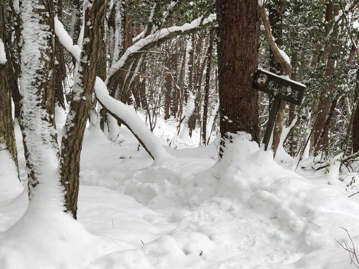 原山遊歩道の標識が！　出た〜