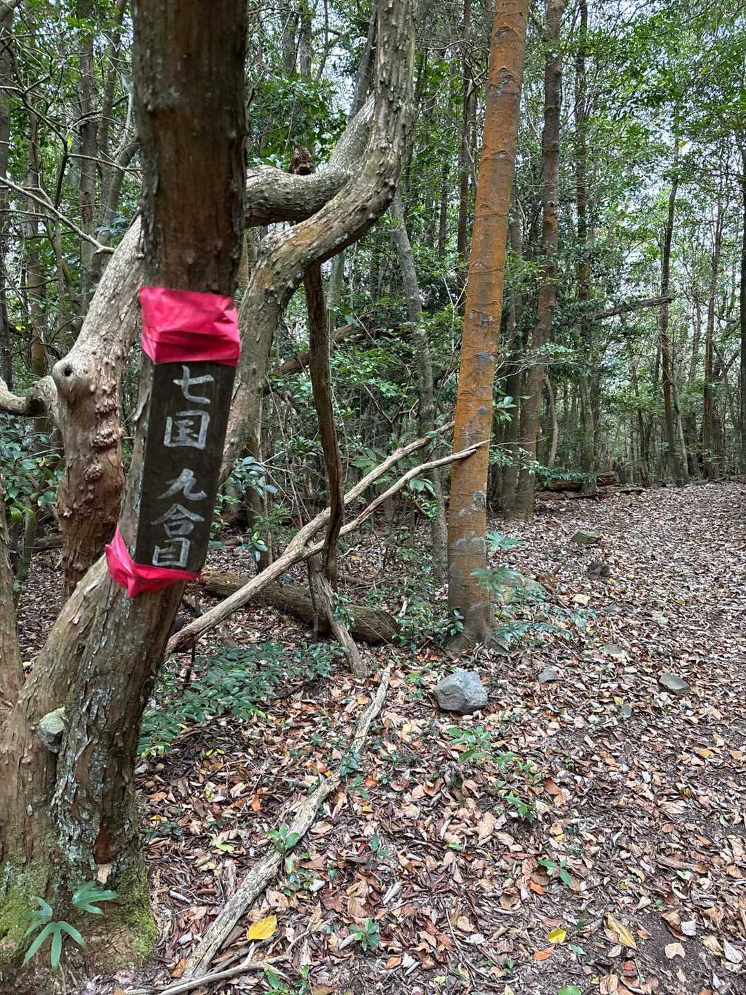 七と八飛ばし😊