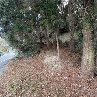 時計回りの車道より取り付き🔁