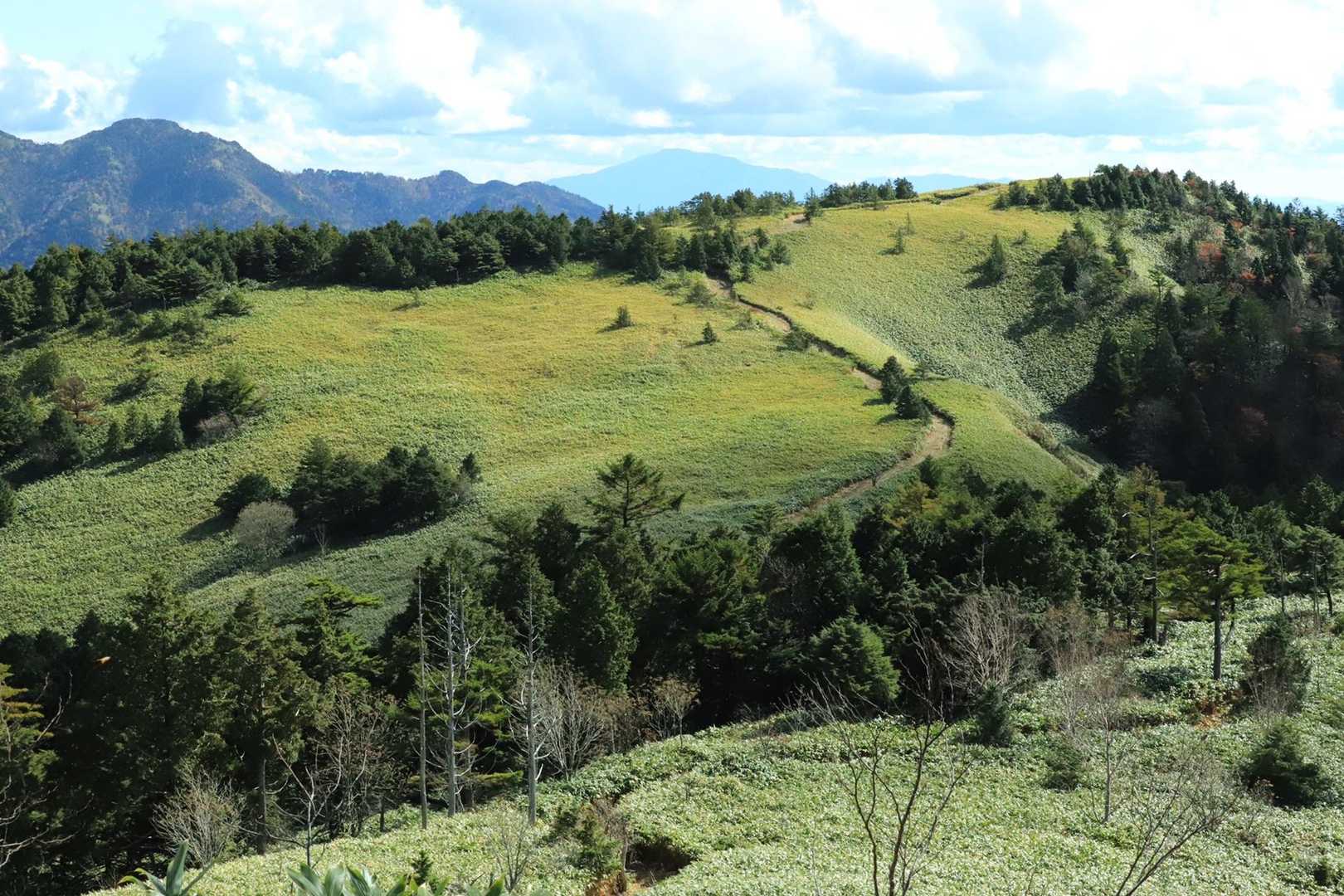 箱岩山から白草山をパシャリ