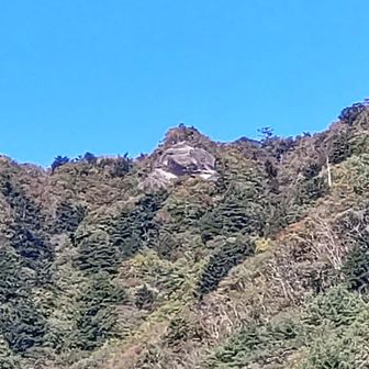 あれが精進山の展望所かな