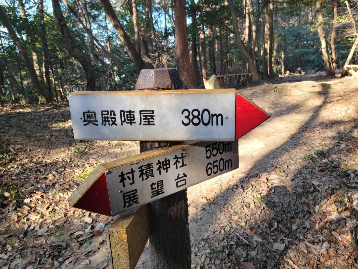 展望台へ🥾