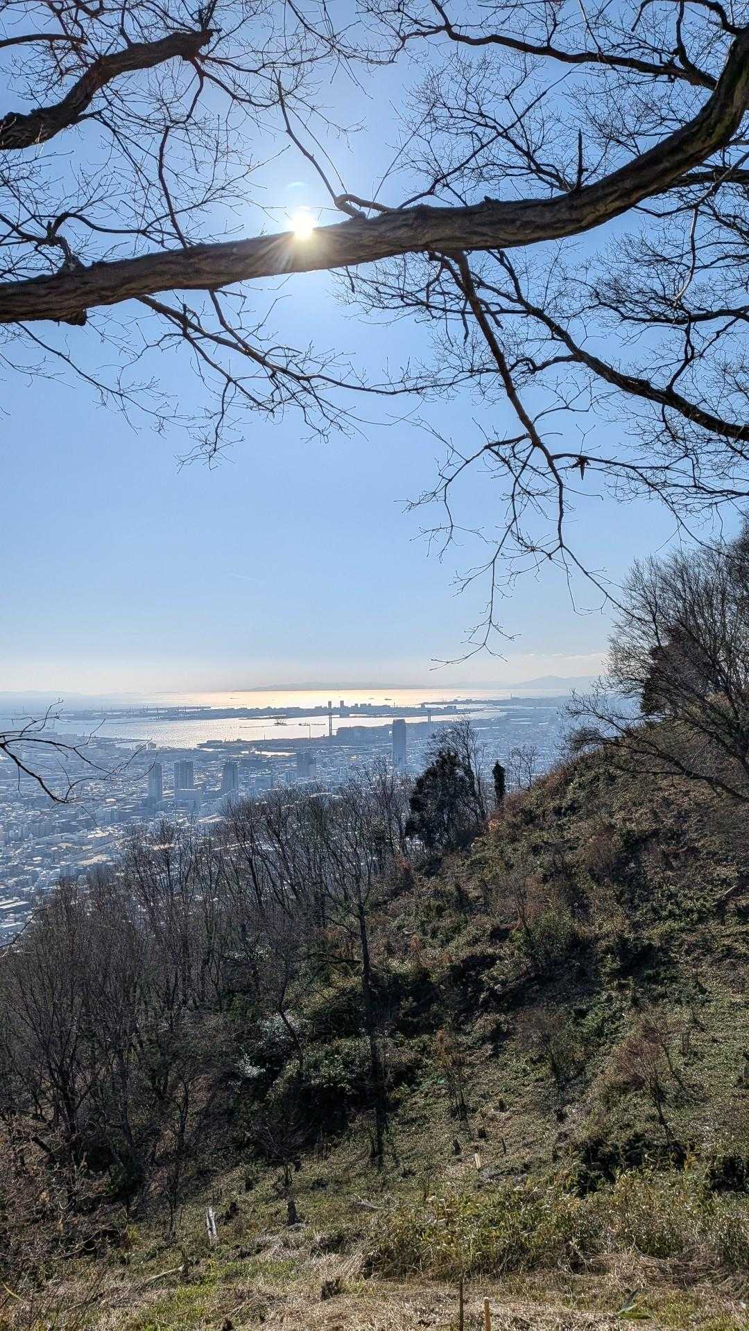 金鳥山 往復コースの写真