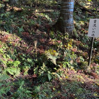 首洗いの池ですが、水はありませんでした