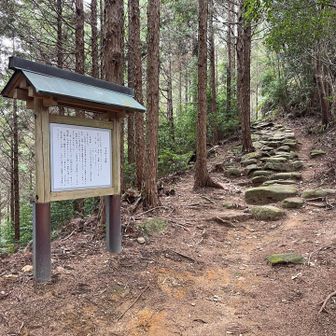 九木峠に着いた。