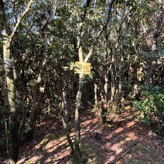 やっと西山に到着です。