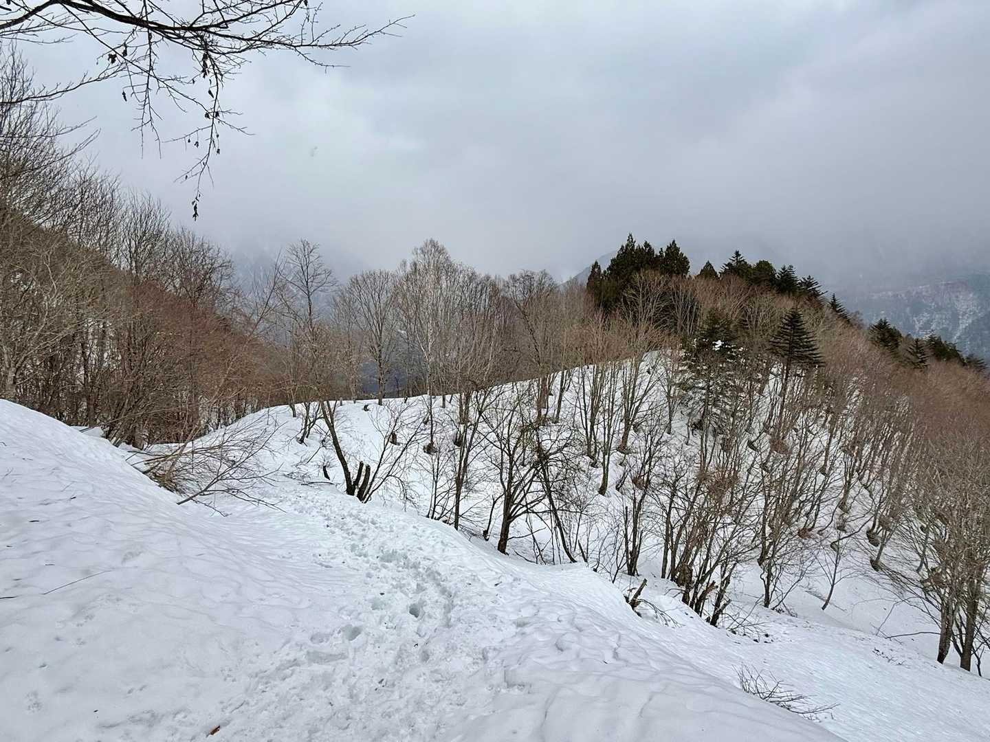 福地山は晴れていれば槍ヶ岳から穂高岳・乗鞍岳・焼岳までの大展望が見えるようです

雪が降る真っ白な眺望でした